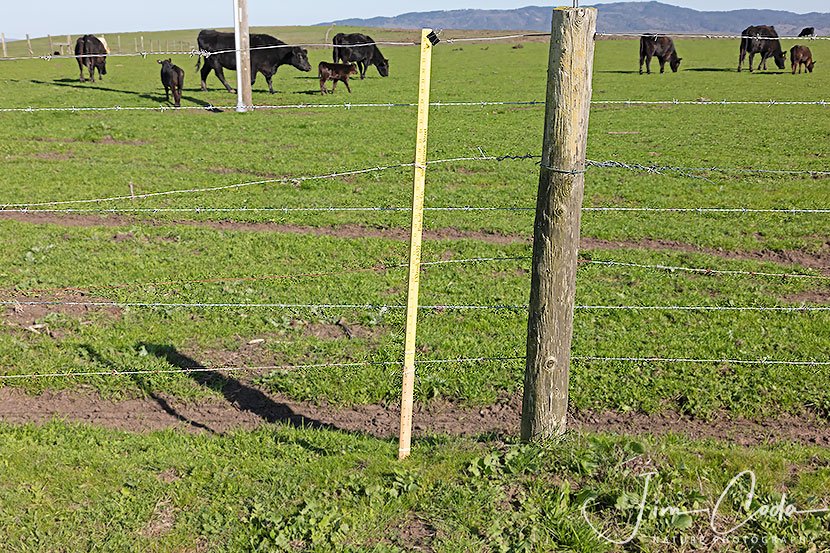 This is a photo of a fence which is difficult for a deer or elk to jump over or for deer fawns or elk calves to crawl under.