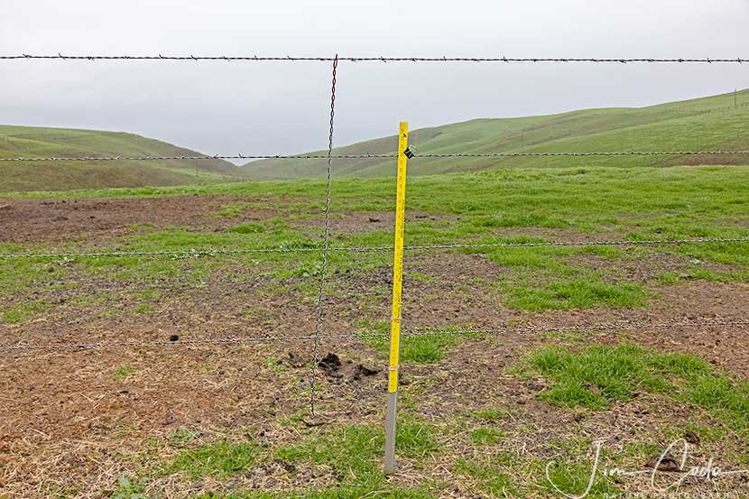 This is a photo of a barbed wire fence that is 55 inches in height which is much higher than a deer or elk can jump.
