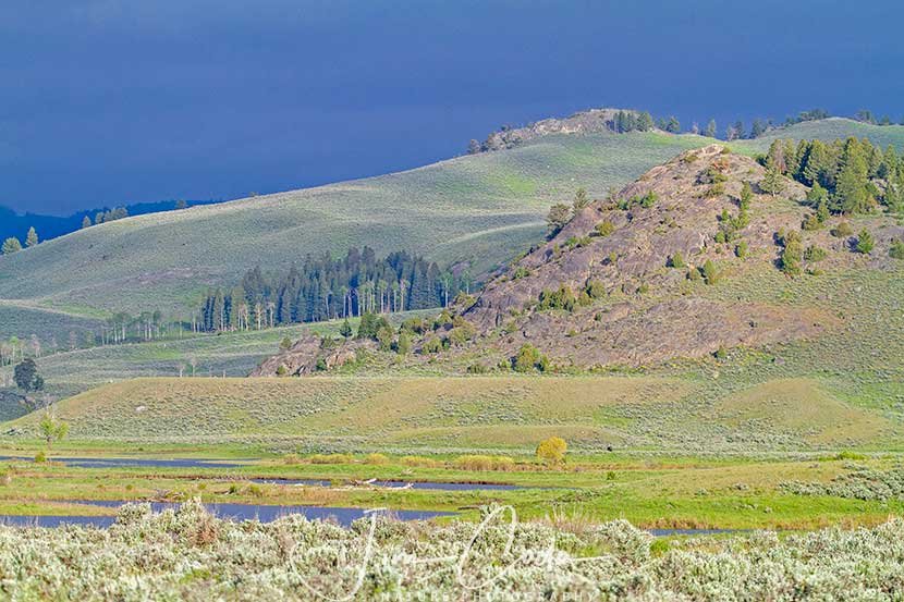 This is a photo of Slough Creek and its foreground and background.