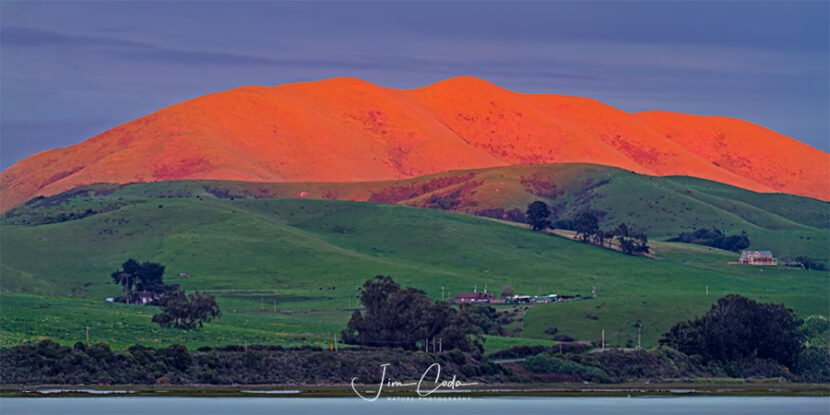 This is a photo of Elephant Mountain in Marin County, California.