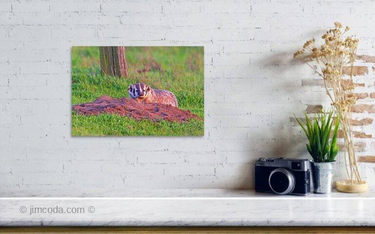 Fine art photo print example in living room