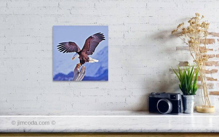 Fine art photo print example in living room