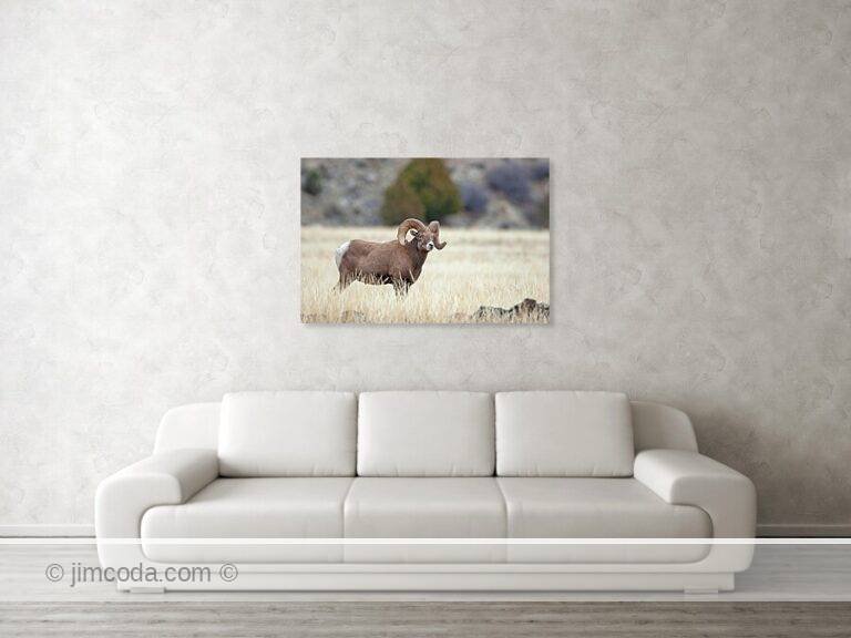 Fine art photo print example in living room