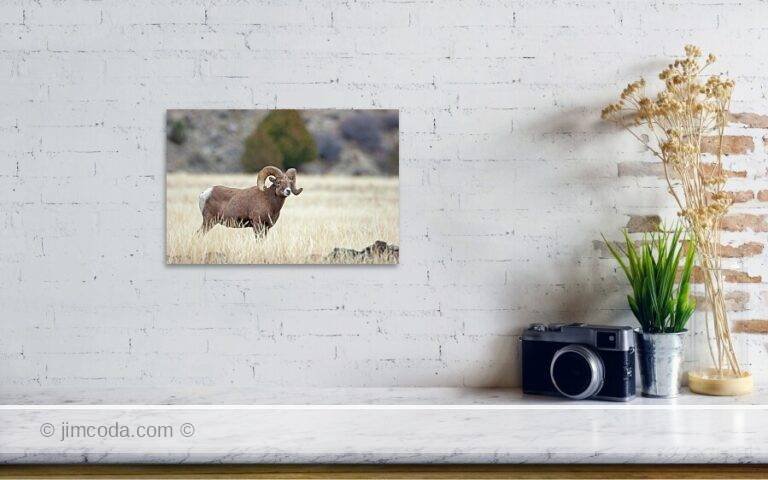 Fine art photo print example in living room