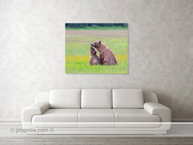 Fine art photo print example in living room