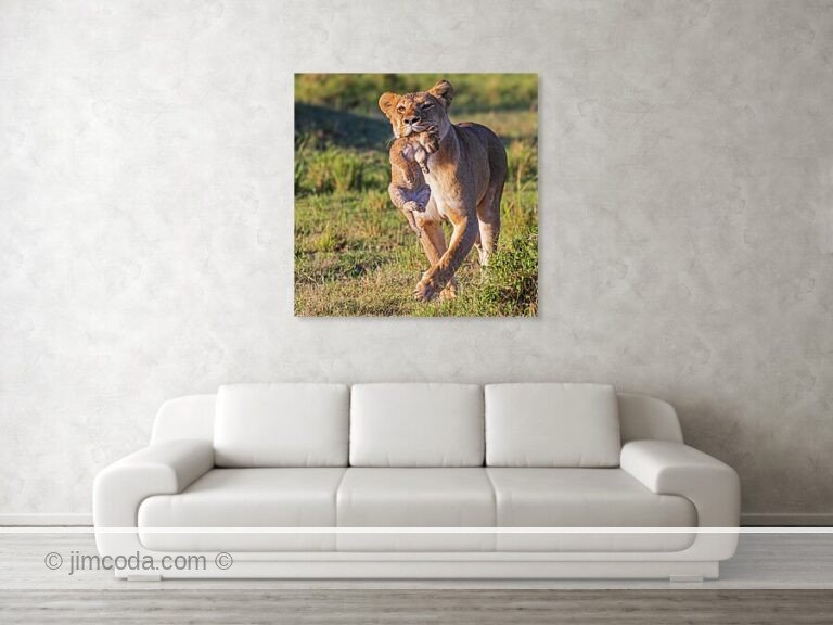 Fine art photo print example in living room