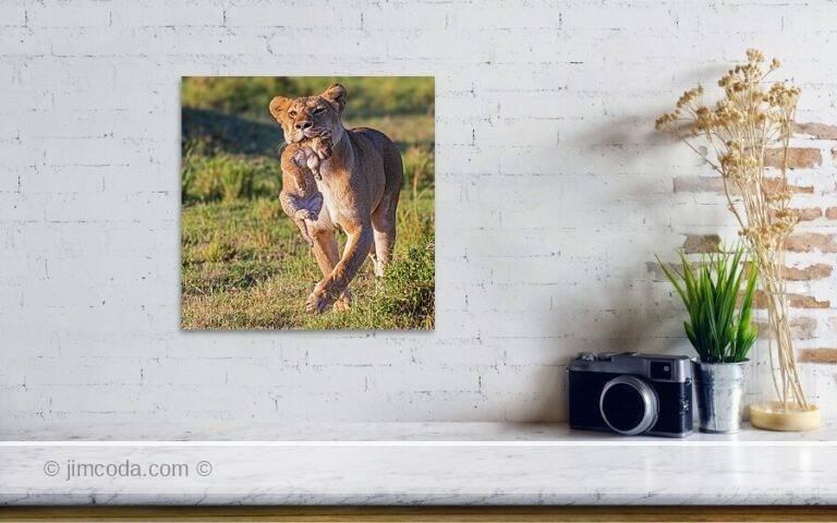 Fine art photo print example in living room