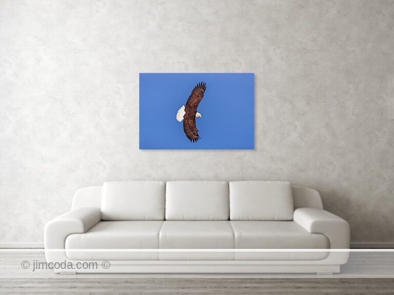 Fine art photo print example in living room