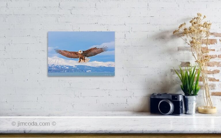 Fine art photo print example in living room