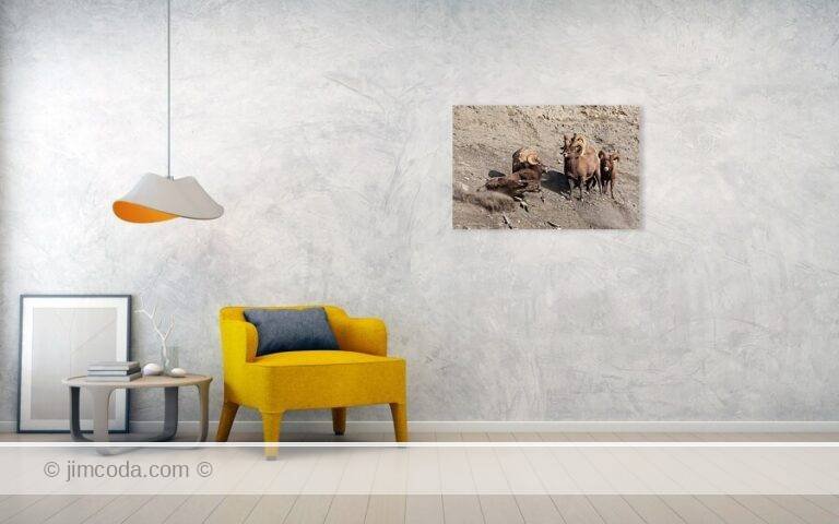 Fine art photo print example in living room