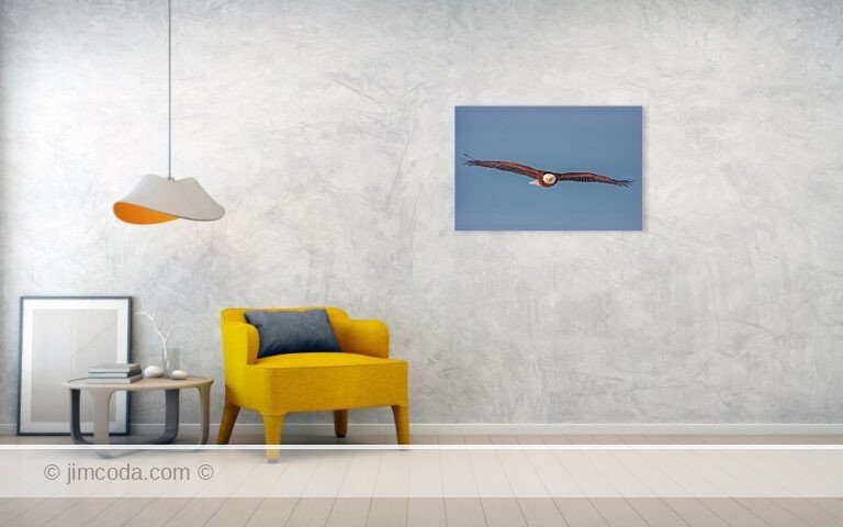 Fine art photo print example in living room