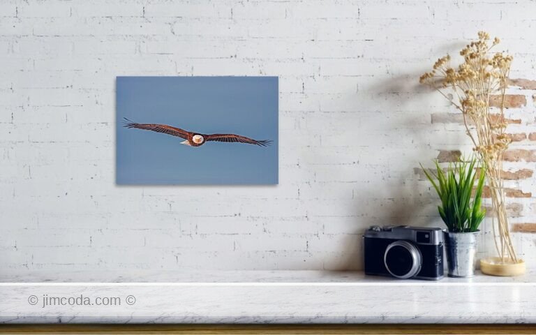 Fine art photo print example in living room