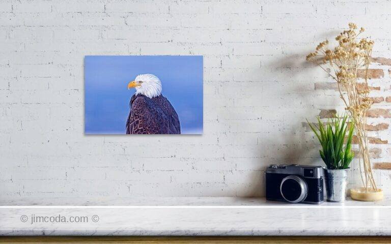 Fine art photo print example in living room