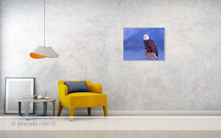 Fine art photo print example in living room