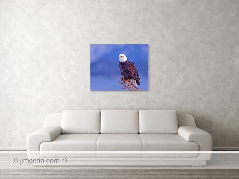 Fine art photo print example in living room