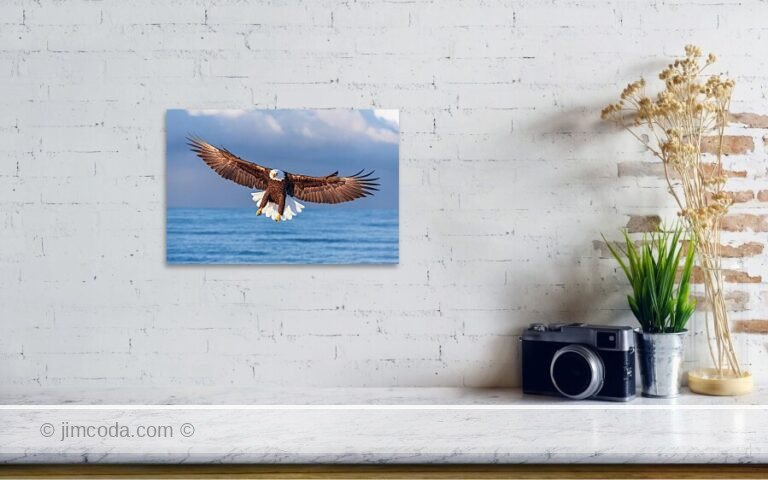 Fine art photo print example in living room