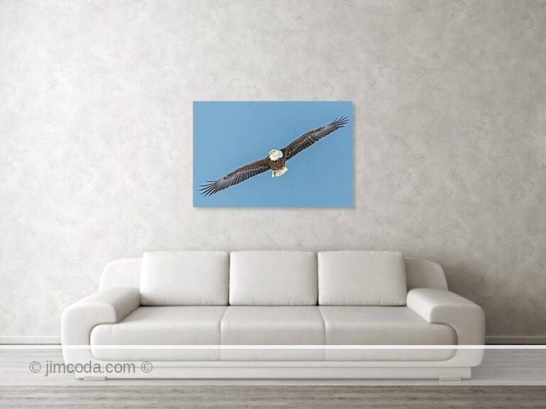 Fine art photo print example in living room