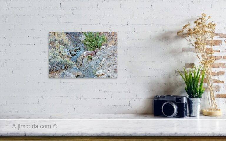 Fine art photo print example in living room