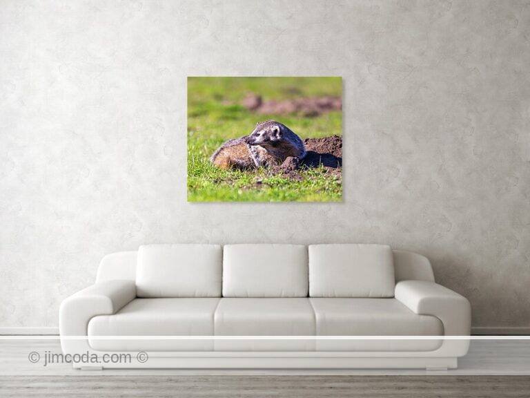 Fine art photo print example in living room