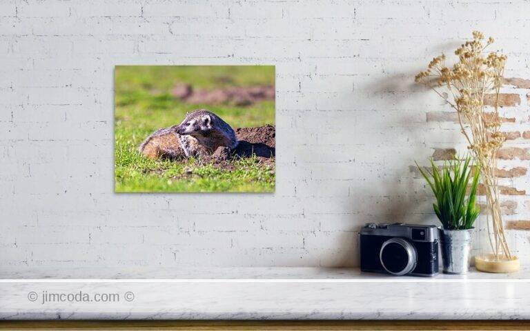 Fine art photo print example in living room