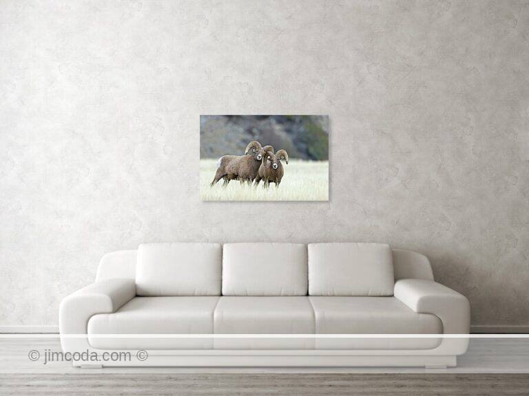 Fine art photo print example in living room