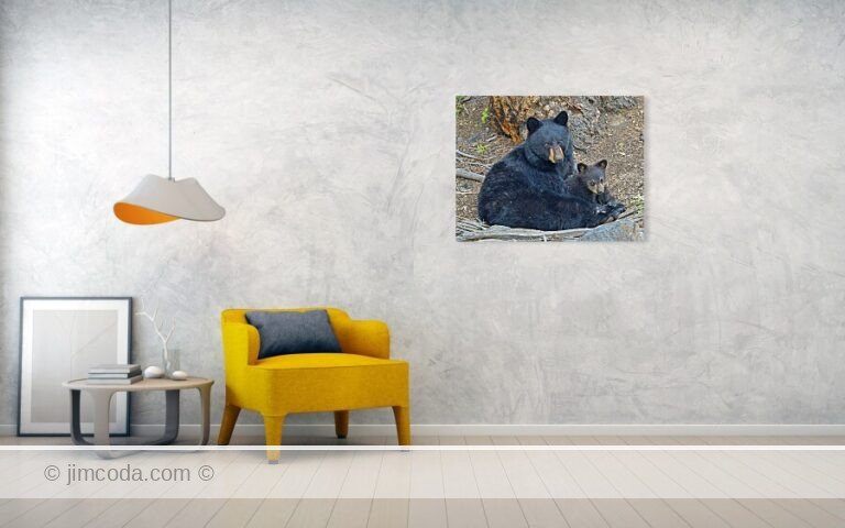 Fine art photo print example in living room