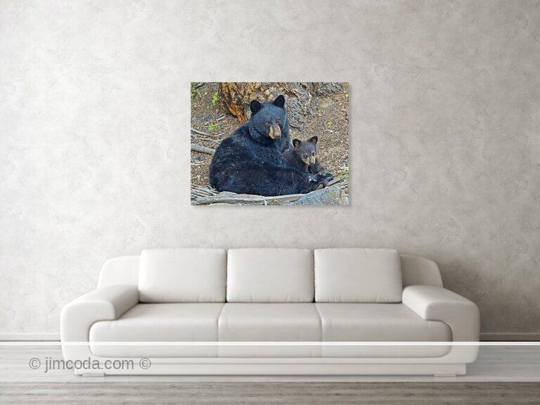 Fine art photo print example in living room