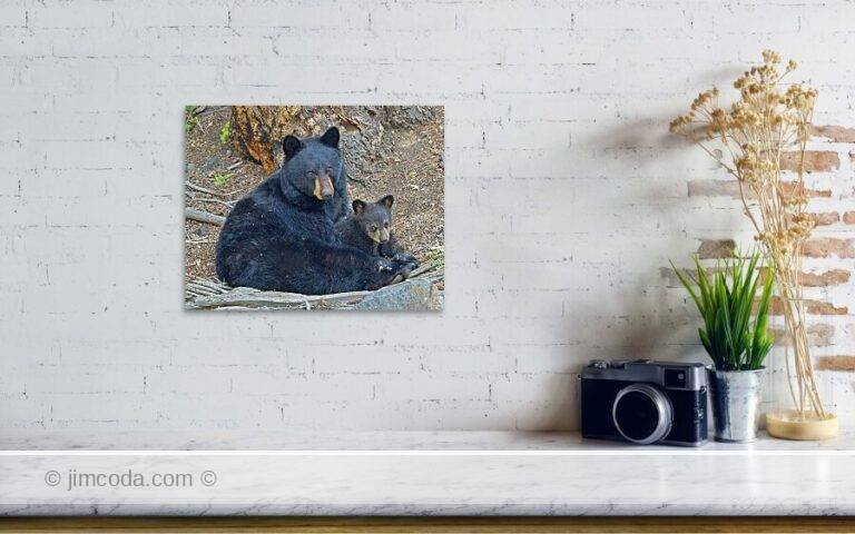 Fine art photo print example in living room