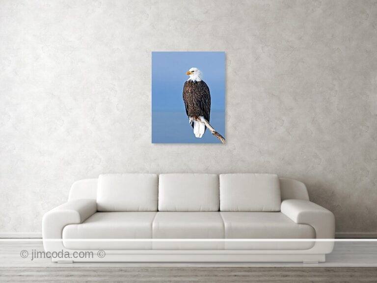 Fine art photo print example in living room