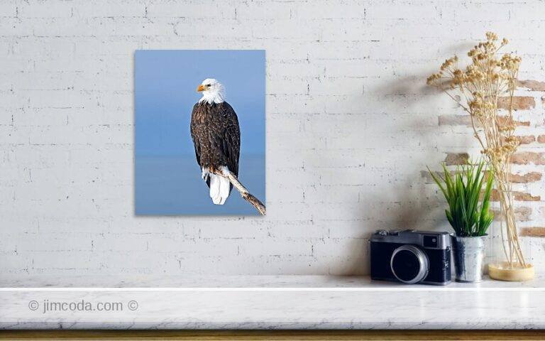 Fine art photo print example in living room