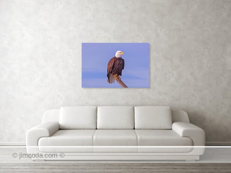 Fine art photo print example in living room