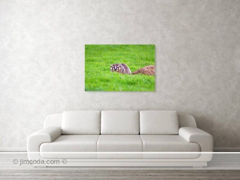 Fine art photo print example in living room