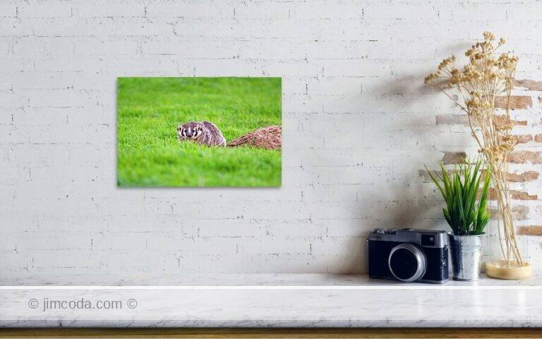 Fine art photo print example in living room