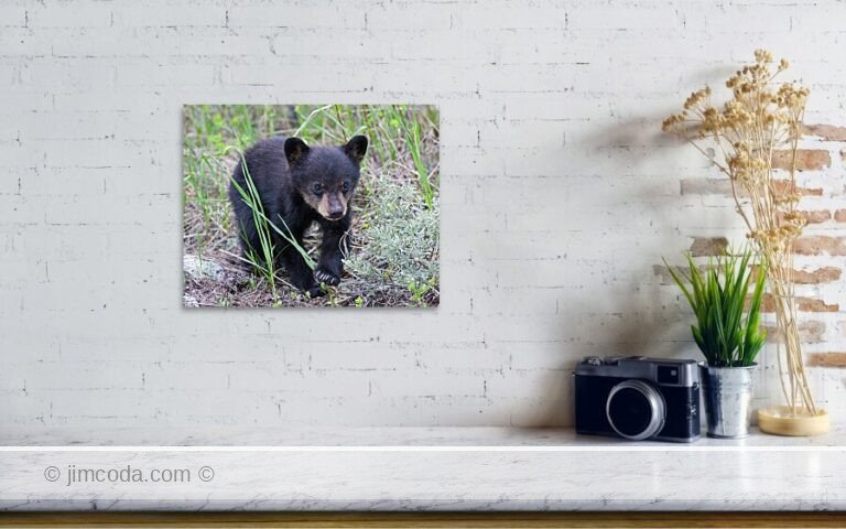 Fine art photo print example in living room