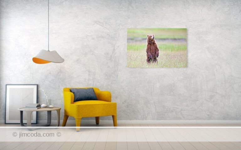 Fine art photo print example in living room