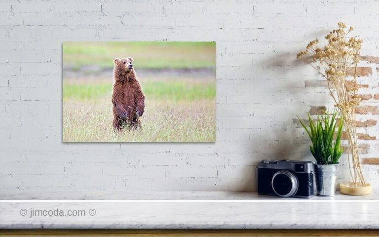 Fine art photo print example