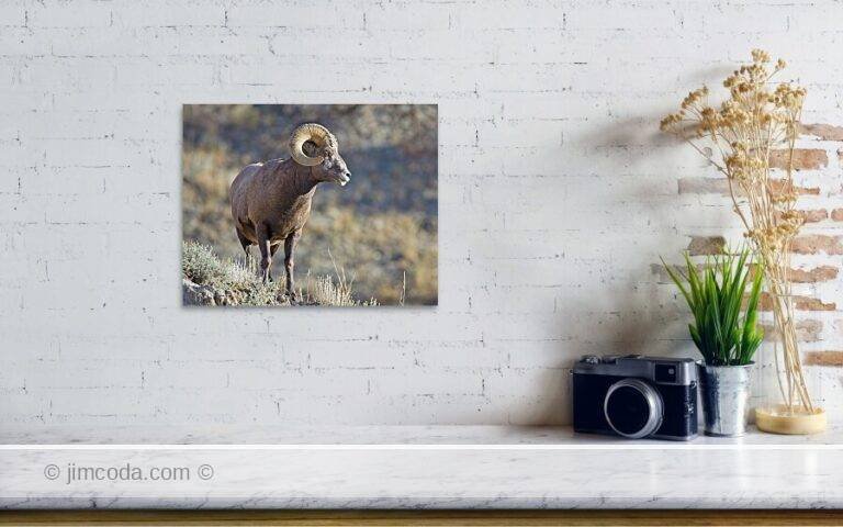 Fine art photo print example in living room