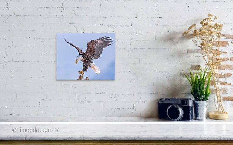 Fine art photo print example in living room