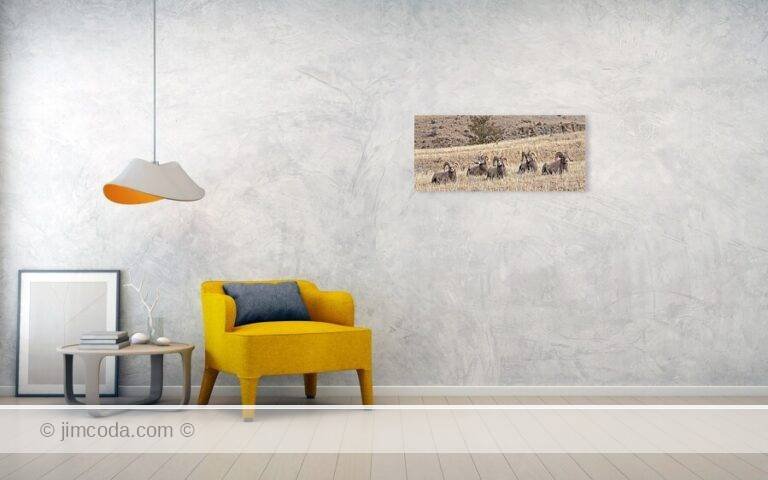 Fine art photo print example in living room
