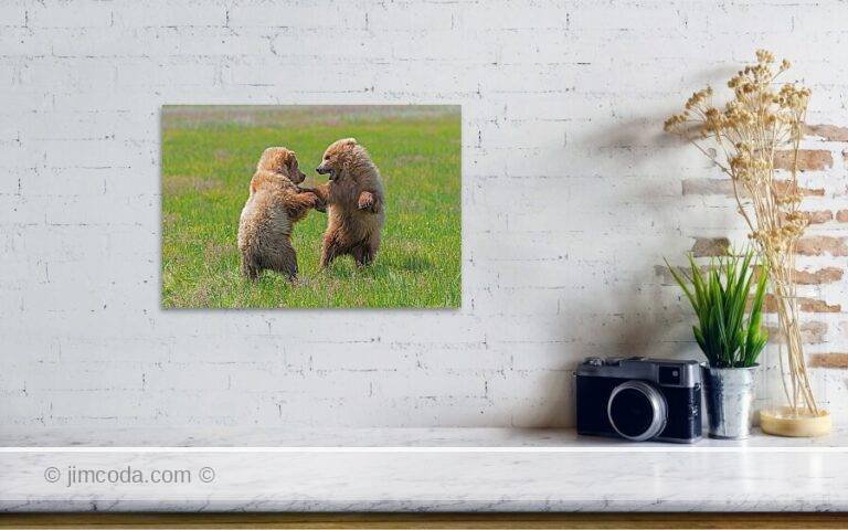 Fine art photo print example in living room