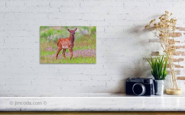 Fine art photo print example in living room