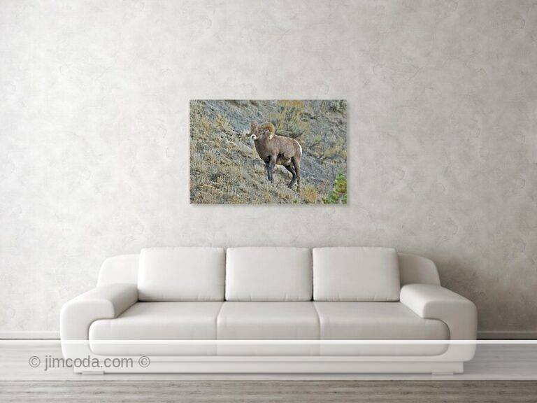 Fine art photo print example in living room