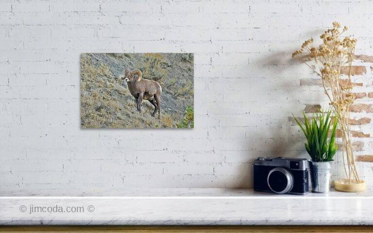 Fine art photo print example in living room