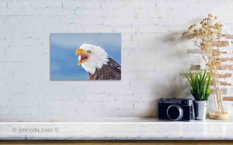 Fine art photo print example in living room