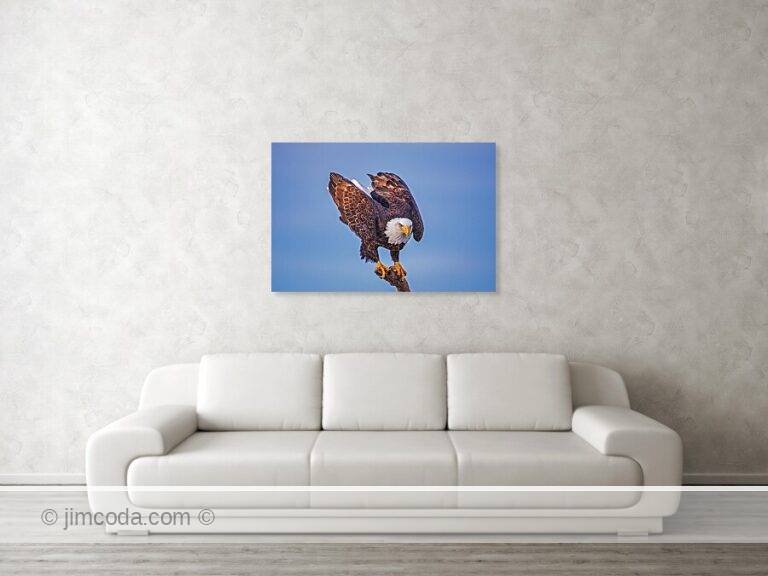 Fine art photo print example in living room