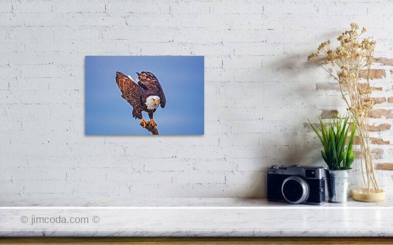 Fine art photo print example in living room