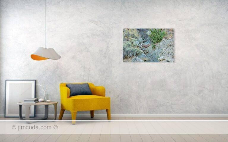 Fine art photo print example in living room