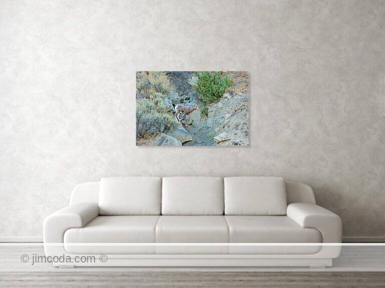 Fine art photo print example in living room