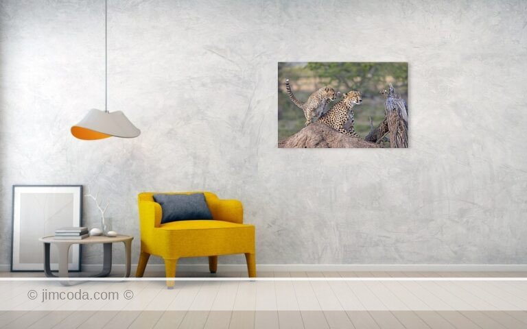 Fine art photo print example in living room