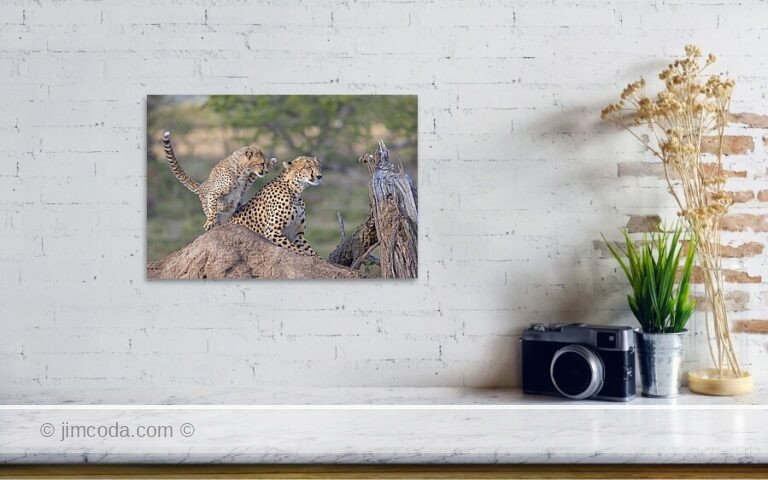 Fine art photo print example in living room